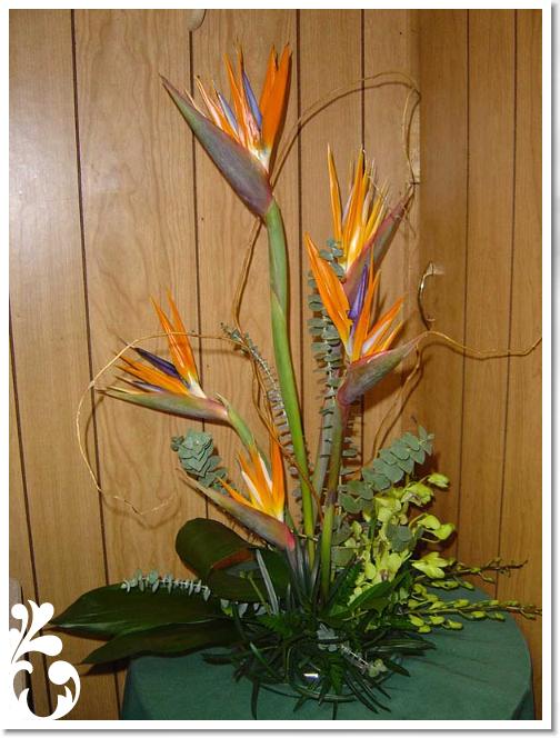 arrangement-074