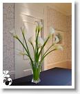 arrangement-105