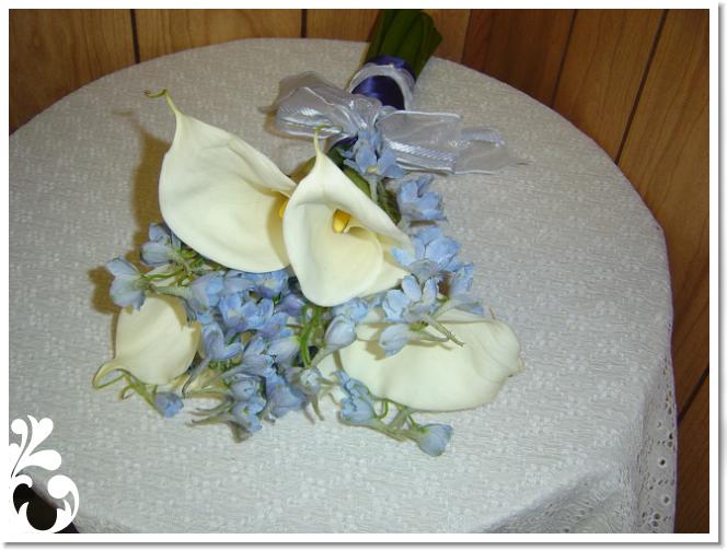 bluetouches-37