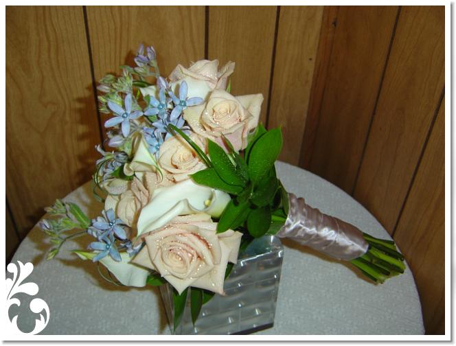 bluetouches-46
