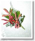 corsages-boutonnieres-085