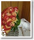 mixed-095