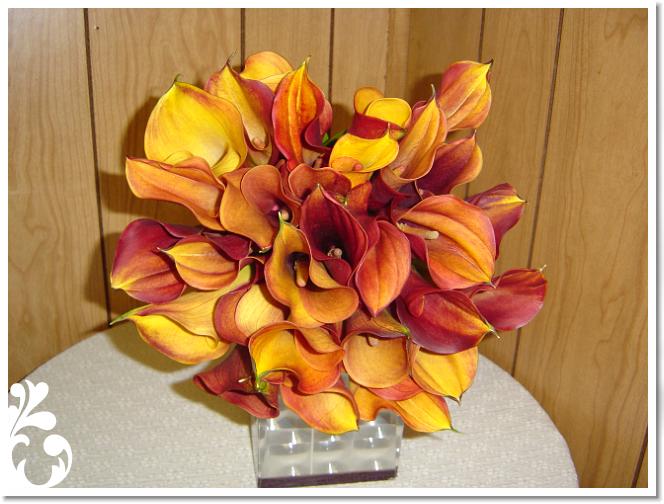 orangeyellow-041