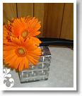 orangeyellow-084