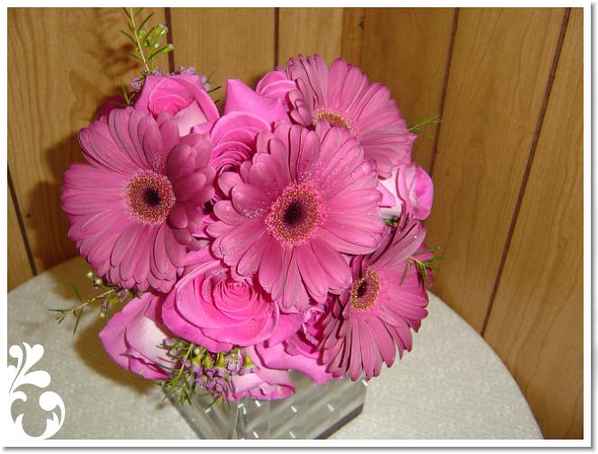 pink-028