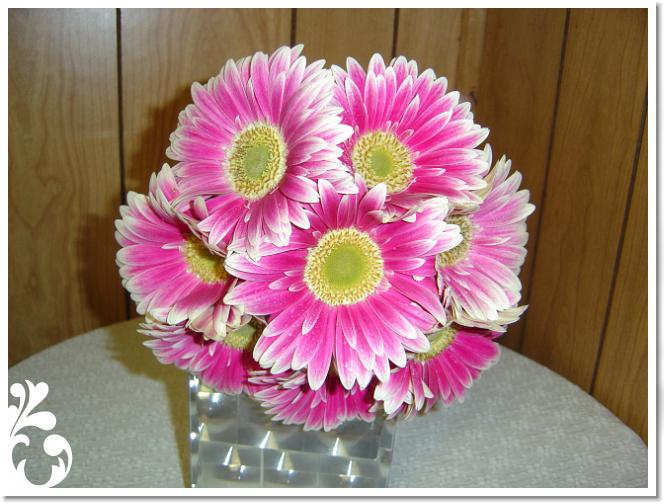 pink-189