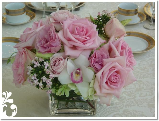pink-220