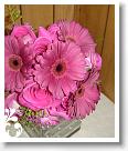 pink-028