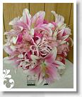 pink-029