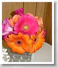 pink-032