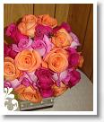 pink-033