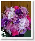 pink-114