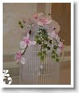 pink-123