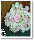 pink-129