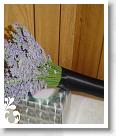 purple-065