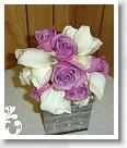 purple-077