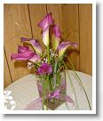 purple-081