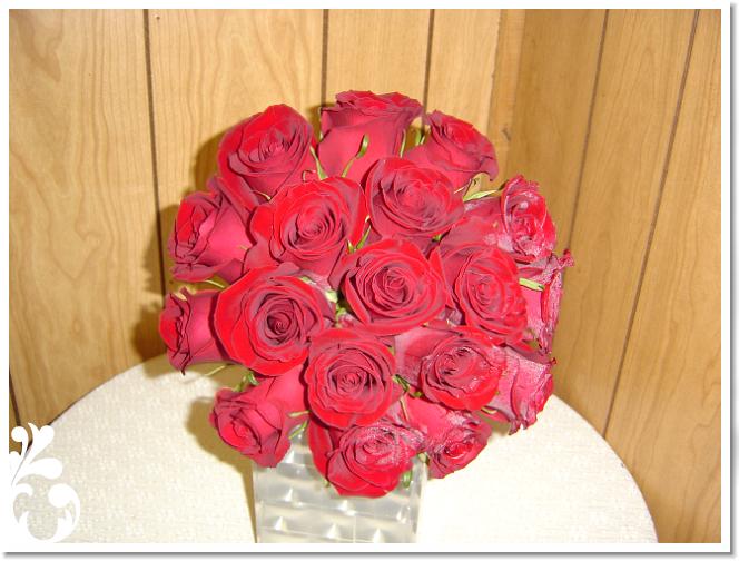 red-204