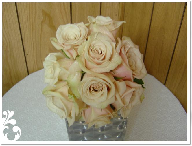 white-029