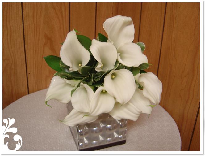 white-033