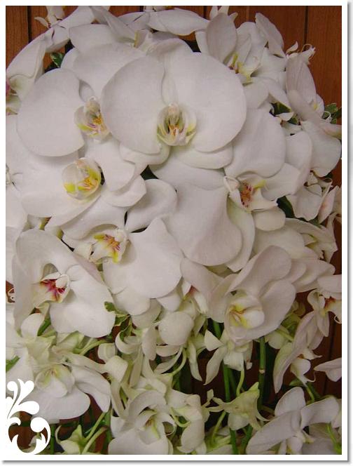 white-086