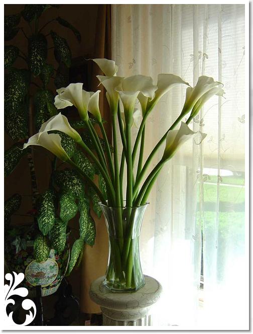 white-092