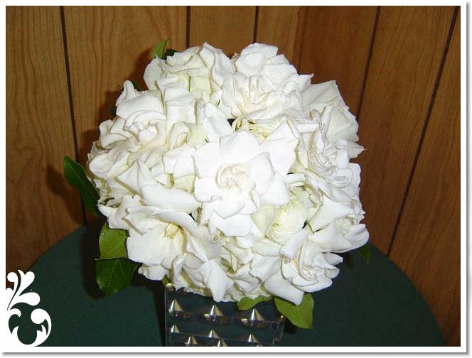 white-096