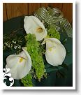 white-105
